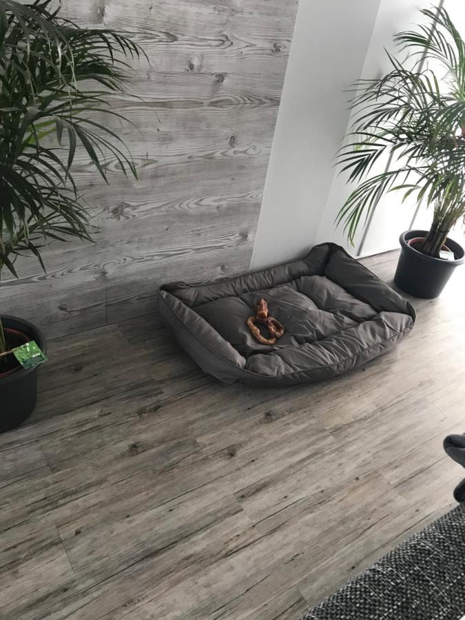Jeannette Apartment Balingen Luaran gambar